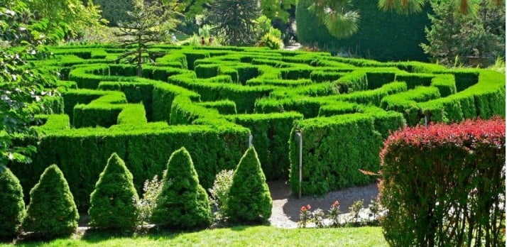 Trải nghiệm thú vị tại khu du lịch sinh thái Cánh Buồm Xanh Chinh phục mê cung cỏ