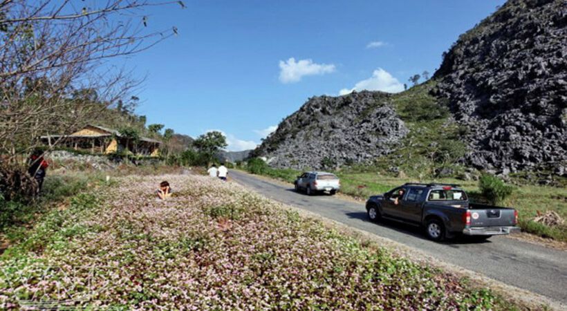 Du lịch Hà Giang bằng ô tô tự lái và những điều cần biết cung đường đi phượt Hà Giang bằng ô tô