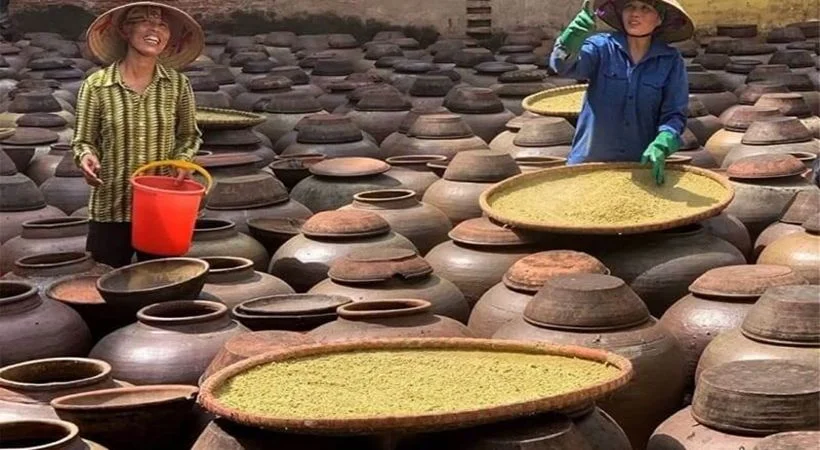 Hành Hương Về Quê Bác Khám Phá Những Điểm Đến Tuyệt Vời Hành Hương Về Quê Bác Khám Phá Những Điểm Đến Tuyệt Vời